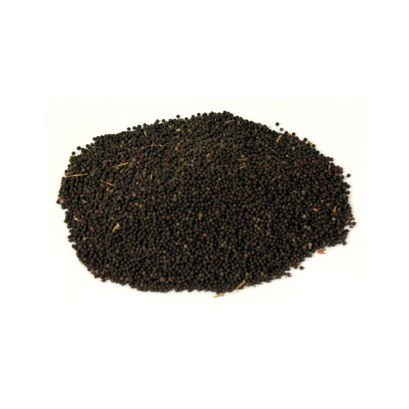 Mexican Poppy Seeds 