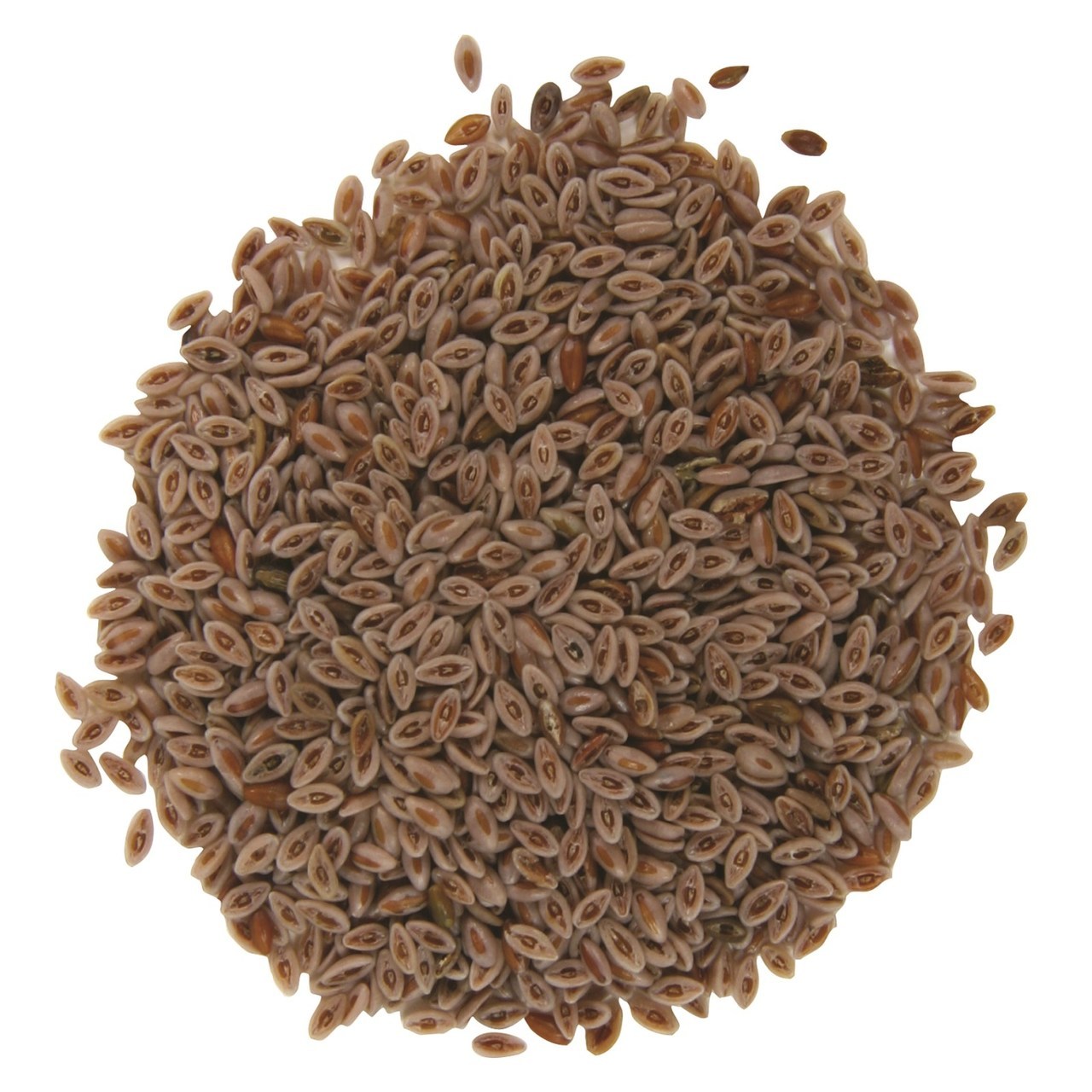 buy-psyllium-seed-husk-ispaghol-muslim-plantago-ovata